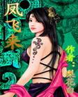 凤飞来 全集