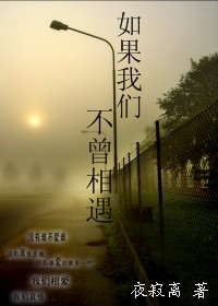 如果我们不曾相遇