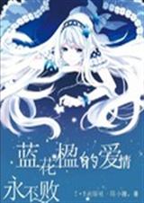 蓝花楹的爱情永不败