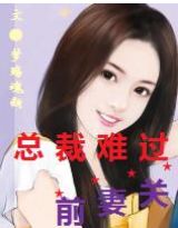 总裁难过前妻关