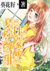 夏日柠檬微酸甜