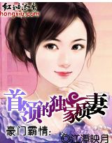 豪门霸情:首领的独家质妻(完结)