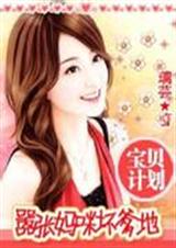 宝贝计划:嚣张妈咪坏爹地(全文+番外)