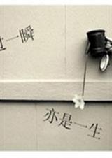 错过一瞬,亦是一生