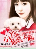 婚外游戏:小丫头,你玩不起