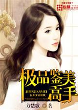 极品鉴美高手