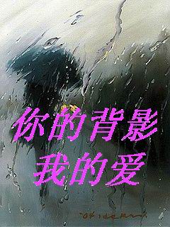 你的背影 我的爱
