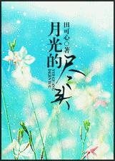 月光的尽头