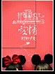 非重点爱情
