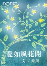 爱如风花开 (VIP完结,军婚,高干)