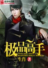 极品高手
