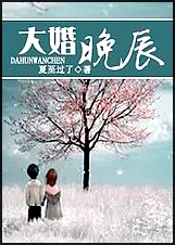 大婚晚辰