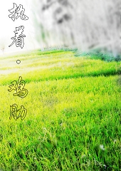 执着·鸡肋