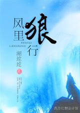 风里狼行 VIP完结