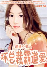 坏总裁霸道爱:追猎小情人