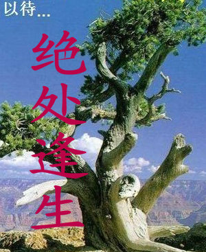 绝处逢生