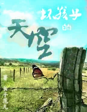 坏孩子的天空