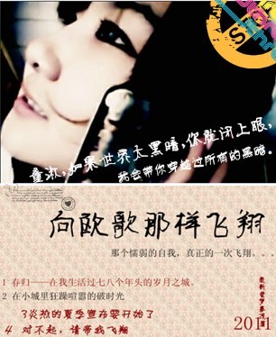 向欧歌那样飞翔