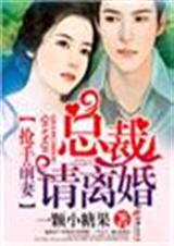 抢手前妻,总裁请离婚