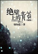 绝壁上的青苔