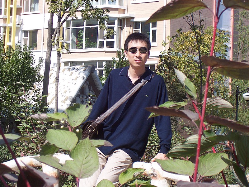 天使的诅咒