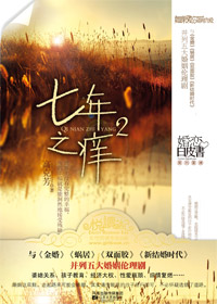 七年之痒2