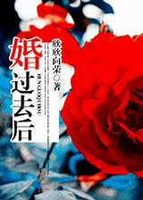 婚过去后(高干)