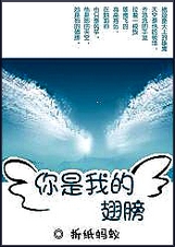 你是我的翅膀