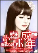 市长小妻未成年