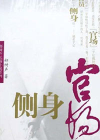 侧身官场