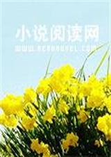 我的意外太子妃