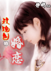 平民女嫁入豪门:玫瑰色的婚恋