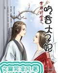 穿越时空之吃香太子妃
