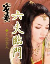 宠妻:六夫临门穿越之限量版娘子