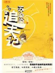 苏染染追夫记