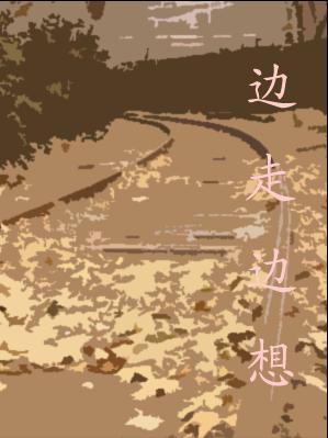 边走边想