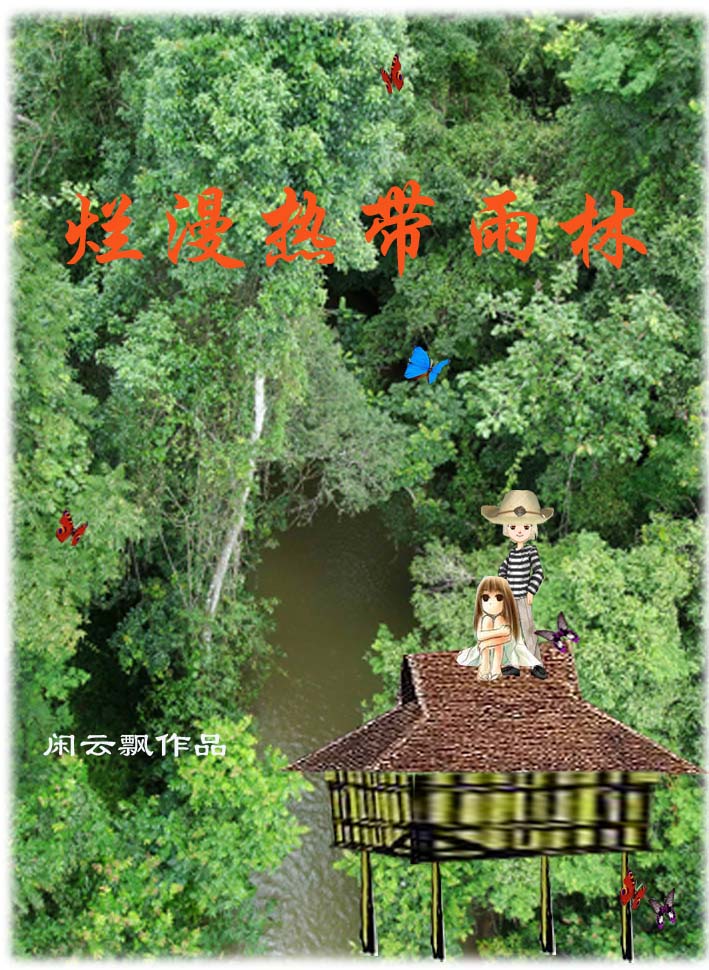 烂漫热带雨林