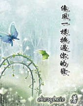 像风一样抚过你的发