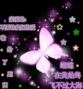 蝴蝶飞不过沧海