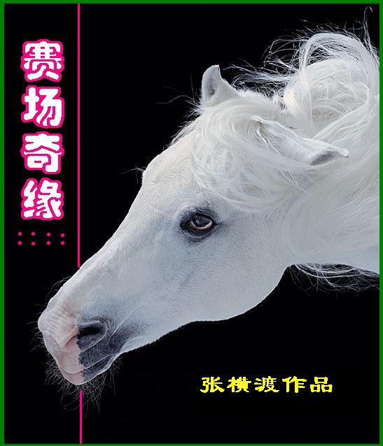 赛场奇缘