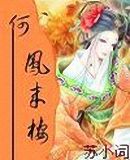 何凤来栖