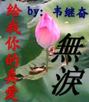 无泪--给我你的爱·上