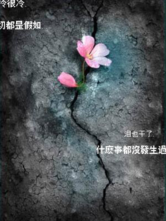 花开不败