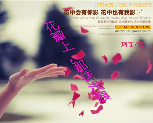 花瓣上,那沫浅痕
