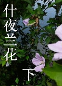 什夜兰花(下)