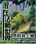 混在法师世界
