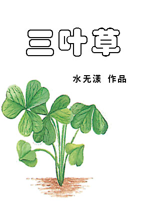 三叶草