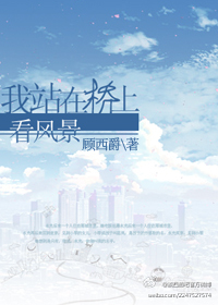 我站在桥上看风景完整版