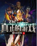 真正的游戏
