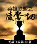 英雄联盟之凌驾一切